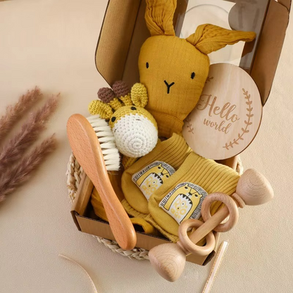 Welcome Baby Gift Box - Baby Mango